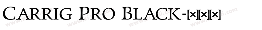 Carrig Pro Black字体转换 Carrig Pro Black字体转换